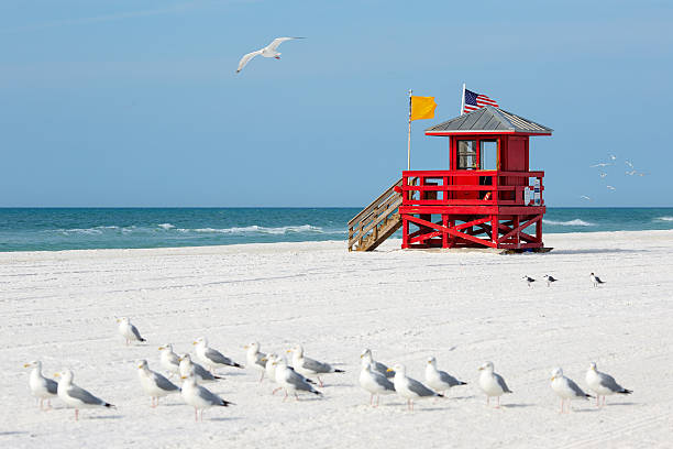 Sarasota 7