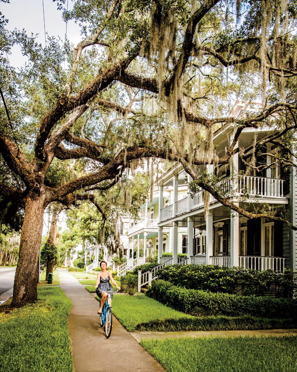 south carolina ophthalmology partnership