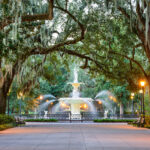Confidential private OD practice represented by OjO Recruitment Agency ( Savannah, GA Area )
