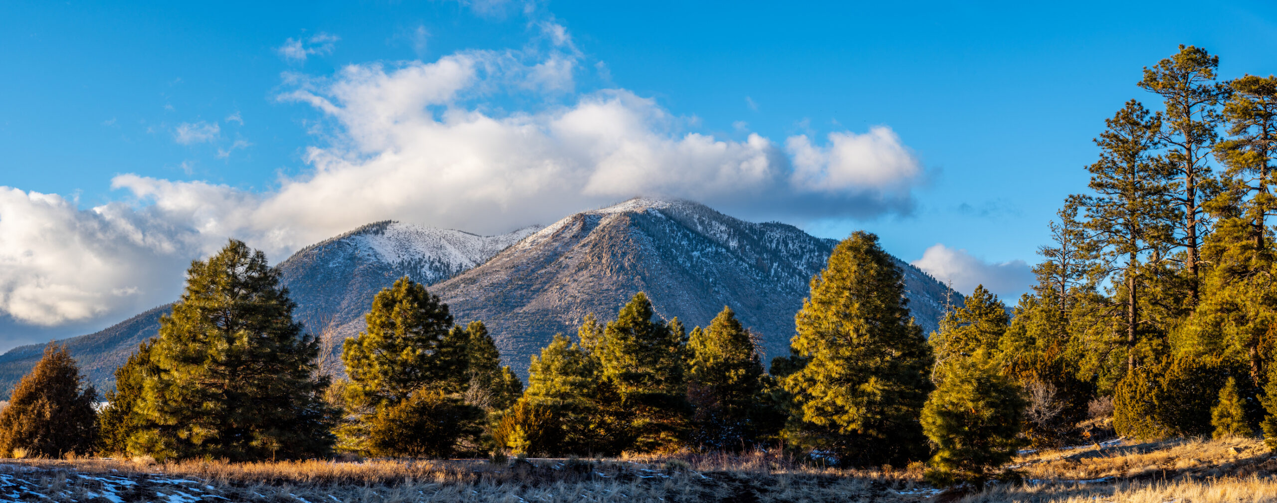 Flagstaff, AZ